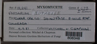 Image Associated With the Occurence
